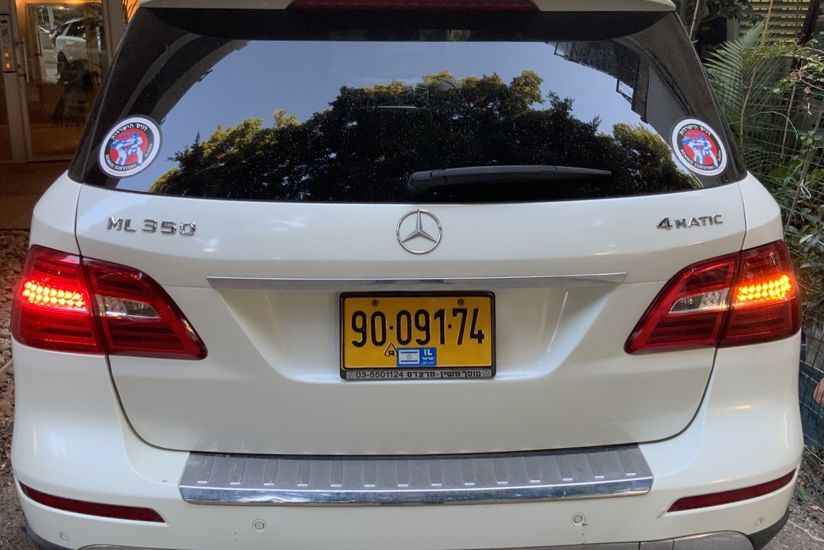     6 полезных сигналов «аварийкой»: кто знает хотя бы 3, тот молодец