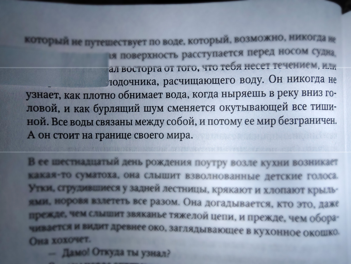Цитаты из произведения Абрахама Вергезе "Завет воды". Листайте галерею. Фото автора