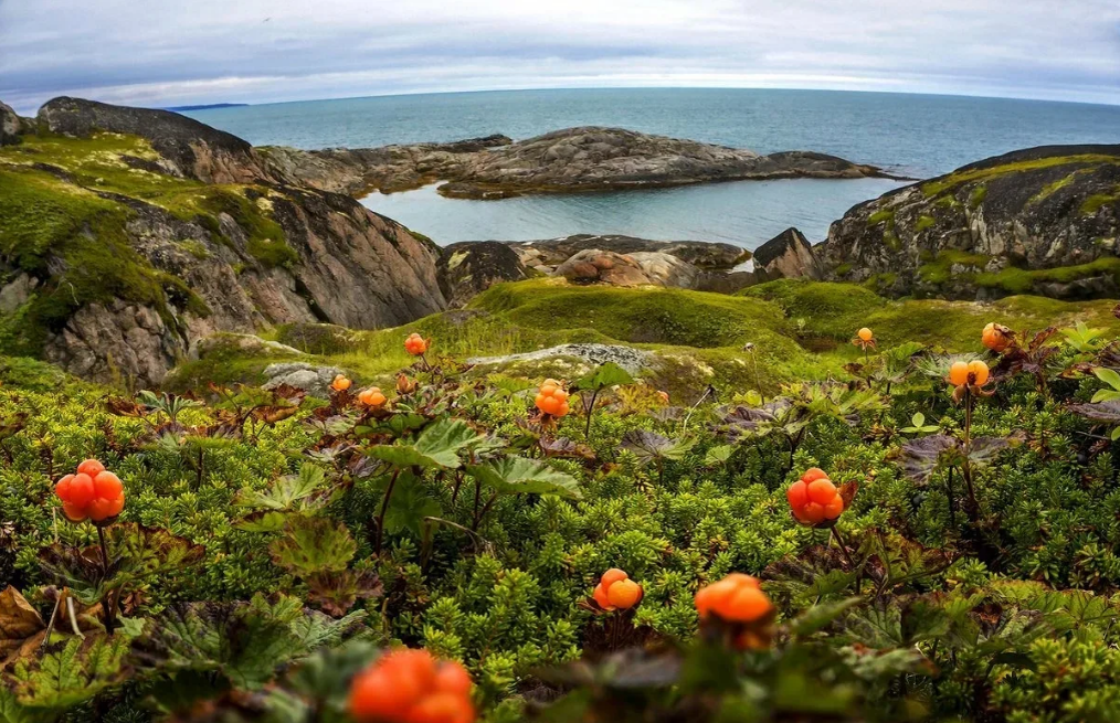 Вид на Баренцево море.