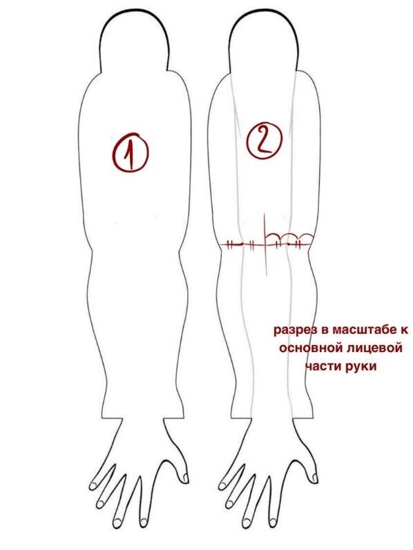 Пример разграничения участка тела для будущего проекта