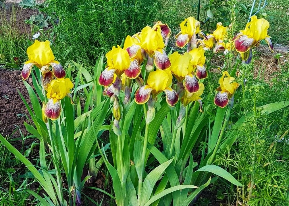 Сон про видео-ролик. Фото автора