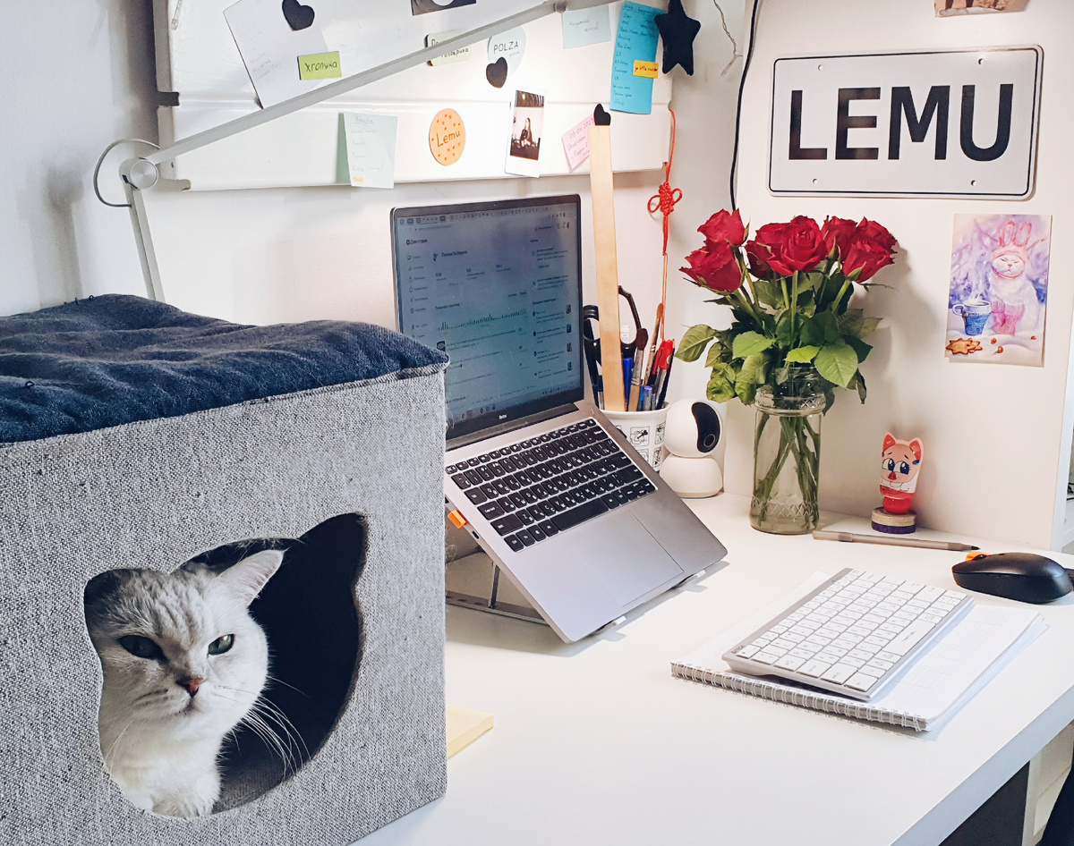 Цветочки на 14 февраля - это база