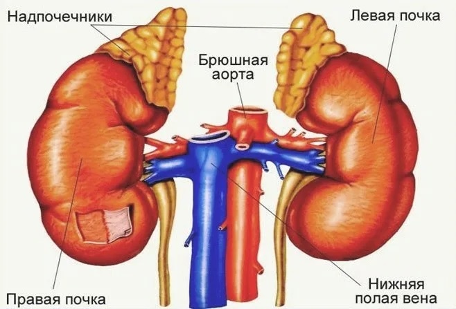 Взято из открытых источников