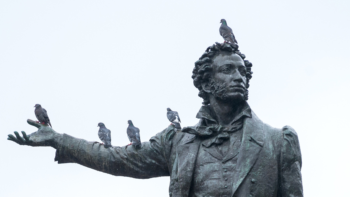 Форпост Северо-Запад / Павел Долганов