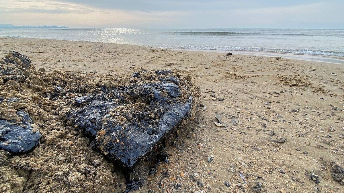 Фото морфи на пляже Фотопроект о ликвидации ЧС в Анапе "Море, живи" запустили в Краснодаре Телеканал
