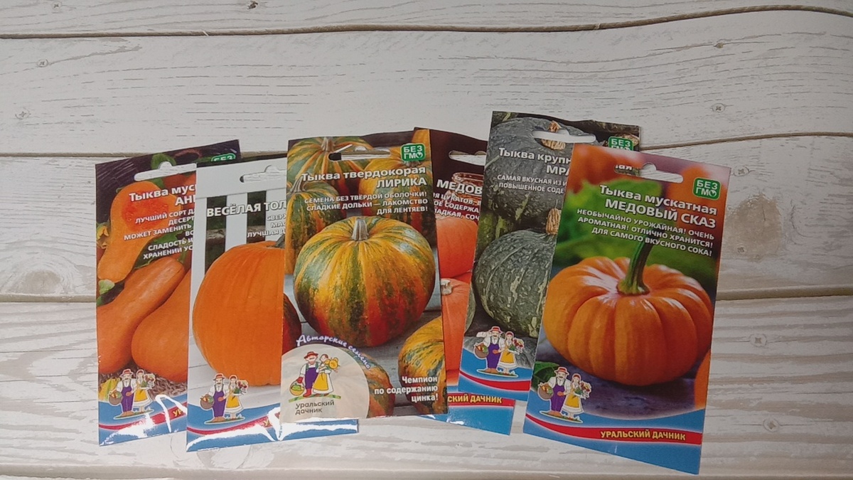 Земельный участок мы приобрели в конце июля 2023 года, поэтому настоящий сезон посадок будет только второй год. 