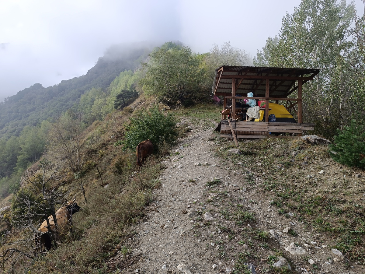 та самая беседка 