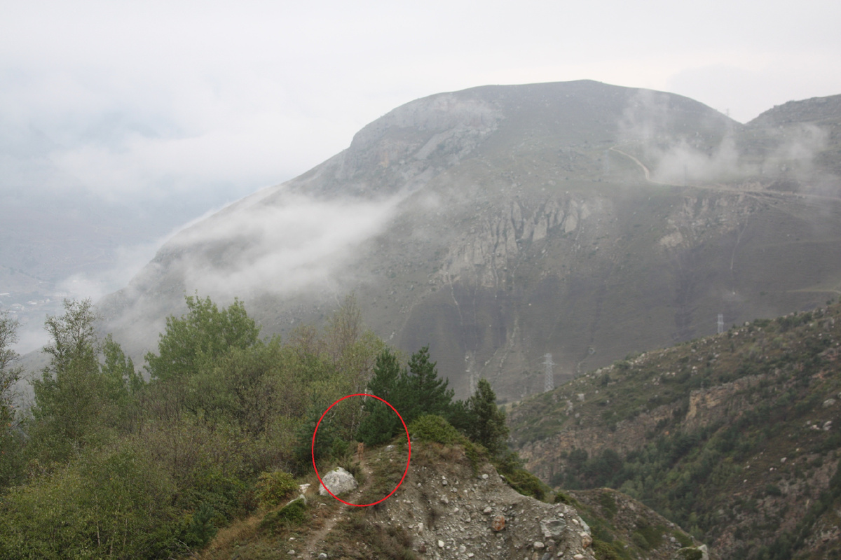 Здесь попался в кадр шакал (точно не собака, местные чабаны сказали что давно пытаются его подстрелить)