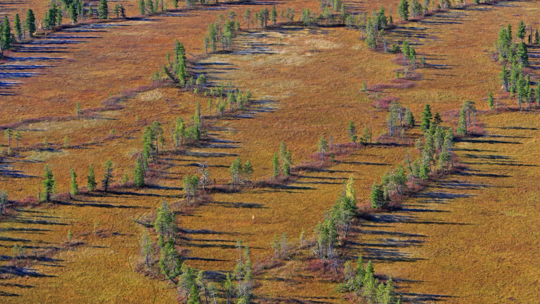    Serguei Fomine/Globallookpress