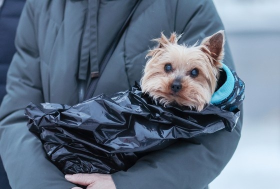    Алексей Белкин/NEWS.ru