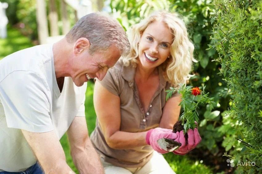 Картинка из интернета для иллюстрации