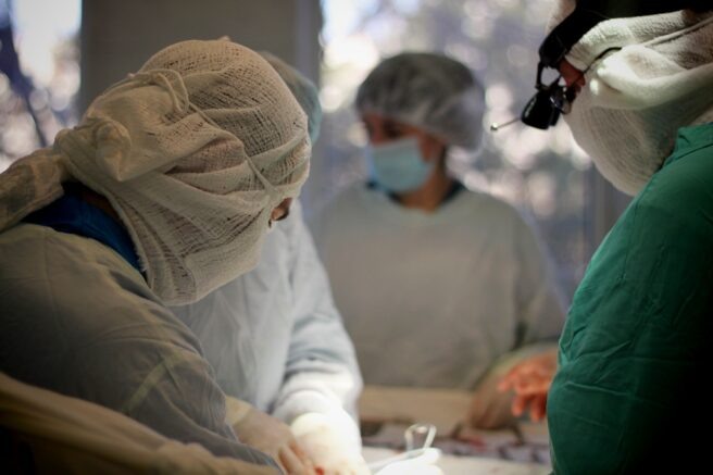    Валентина Мищенко / Югополис