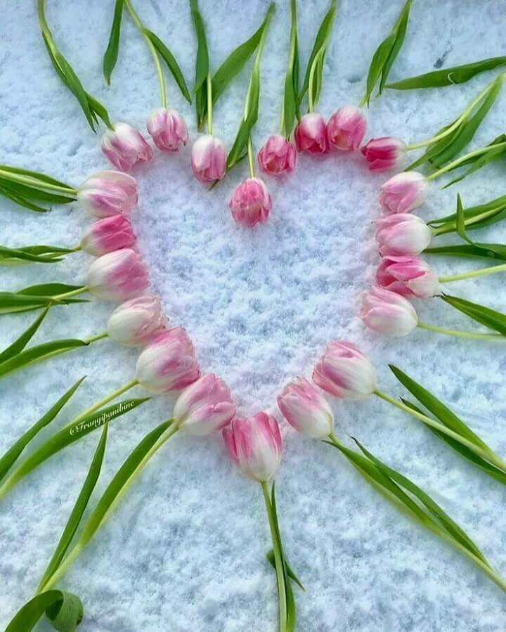 Фото из свободных источников