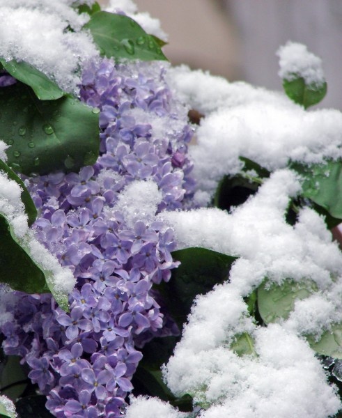 Фото из свободных источников