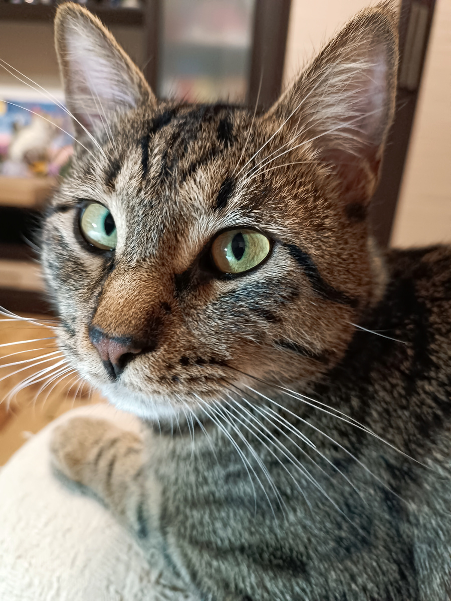 Фото автора 