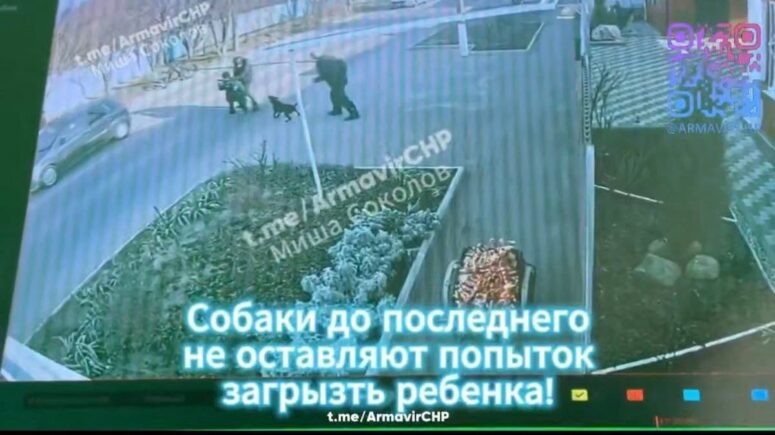    Скриншот видео с камеры наблюдения: t.me/ArmavirCHP