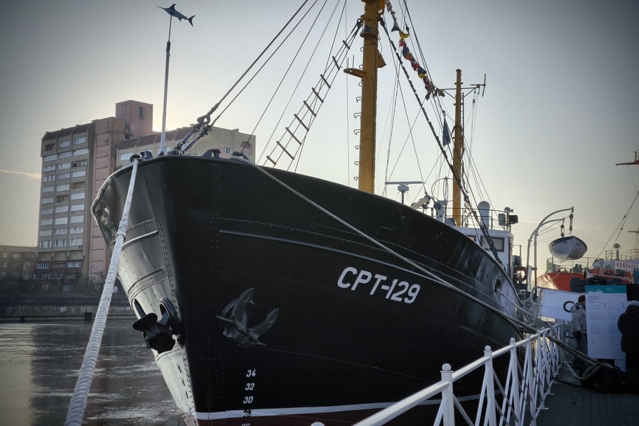 Листайте вправо, чтобы увидеть больше изображений