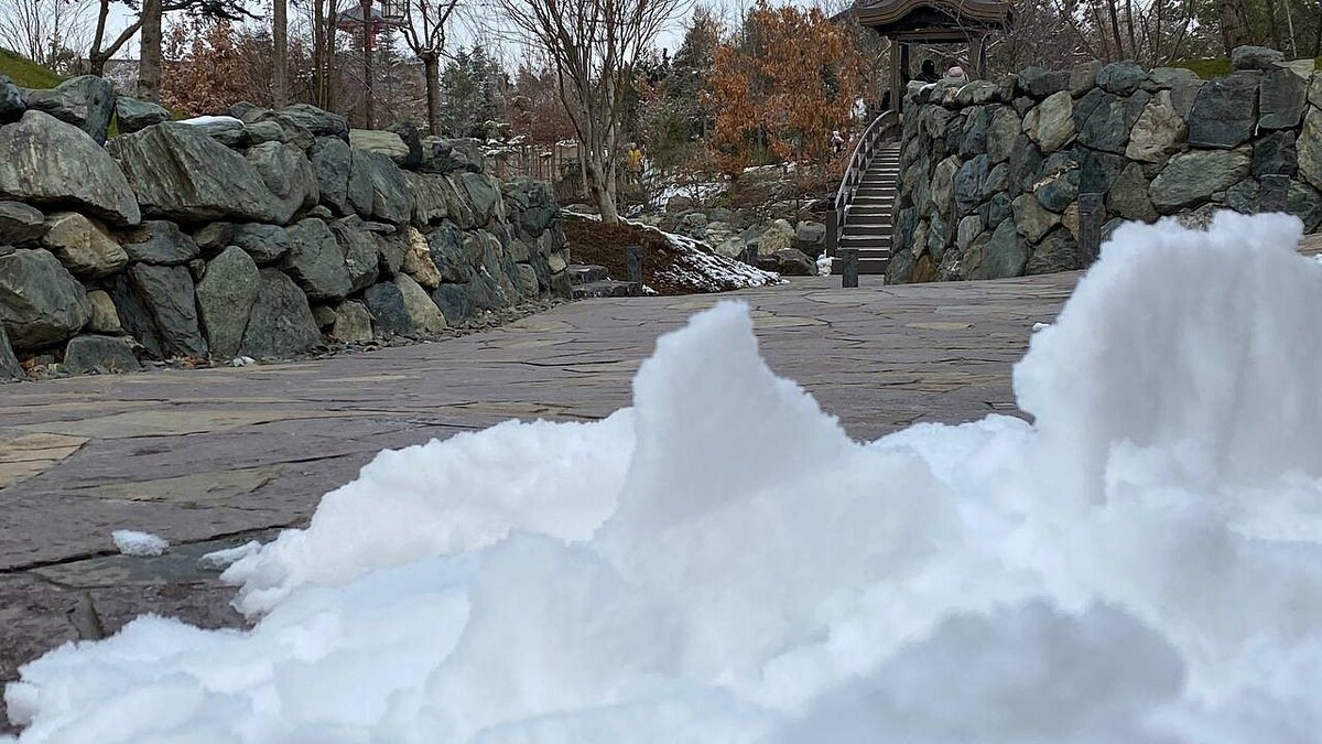    Фото: телеканал «Краснодар»