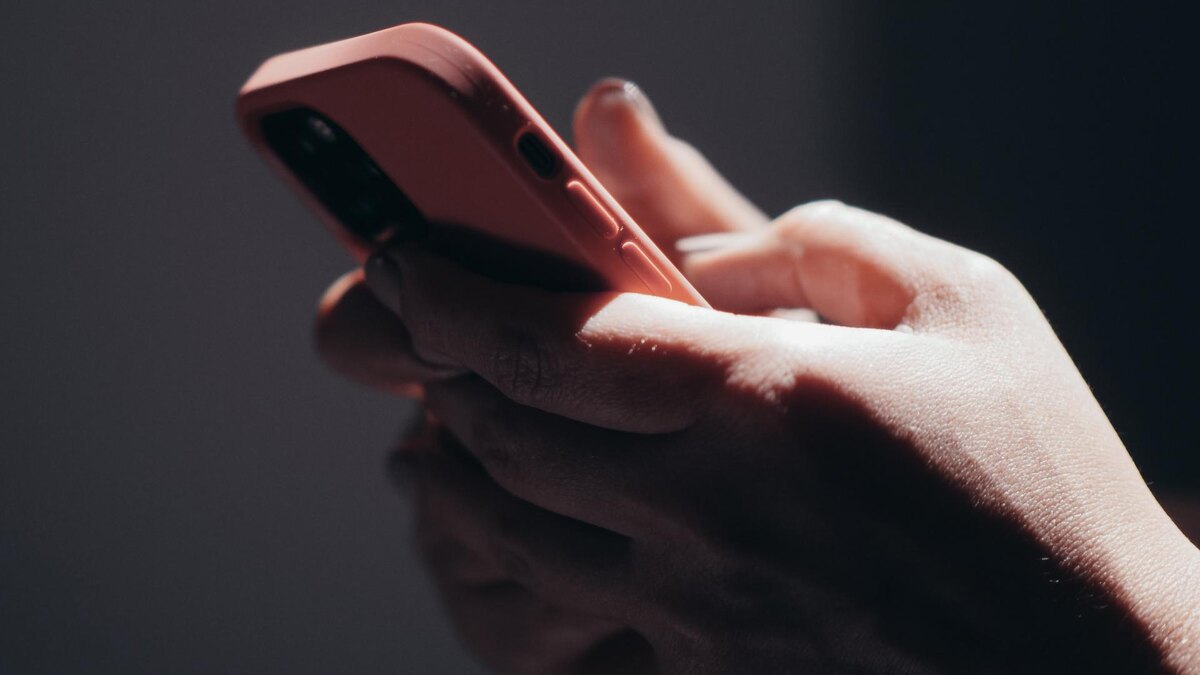    Фото: pexels.com