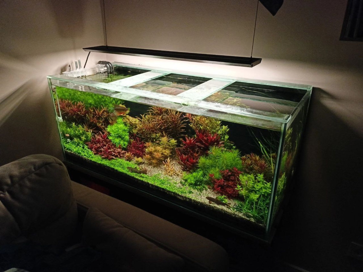 Фото: Руслан Руппель, г. Рязань