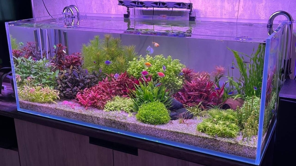 Фото: Павел Ложкин, г. Воткинск