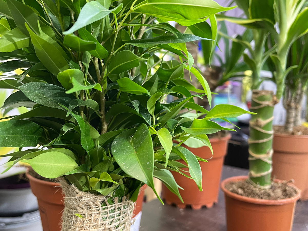 Фото: Тульская служба новостей