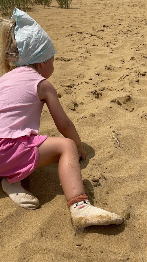 Малышка наблюдает за плоскоголовой ящеркой на бархане Сарыкум, Республика Дагестан