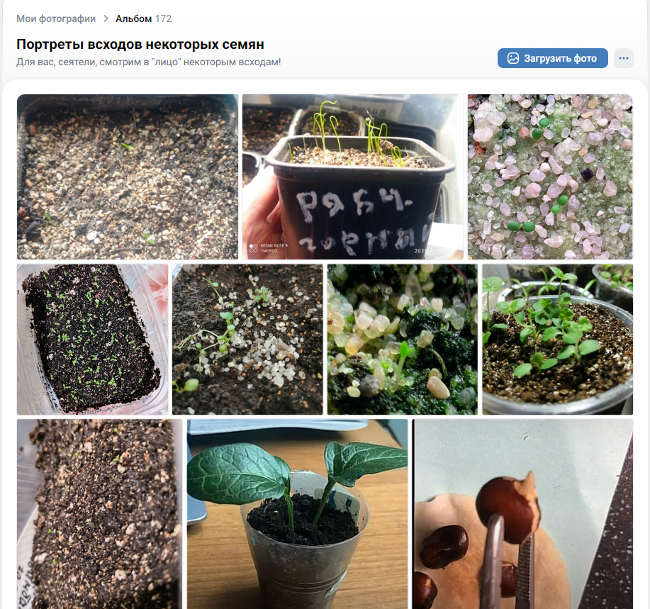 из альбома в ВК