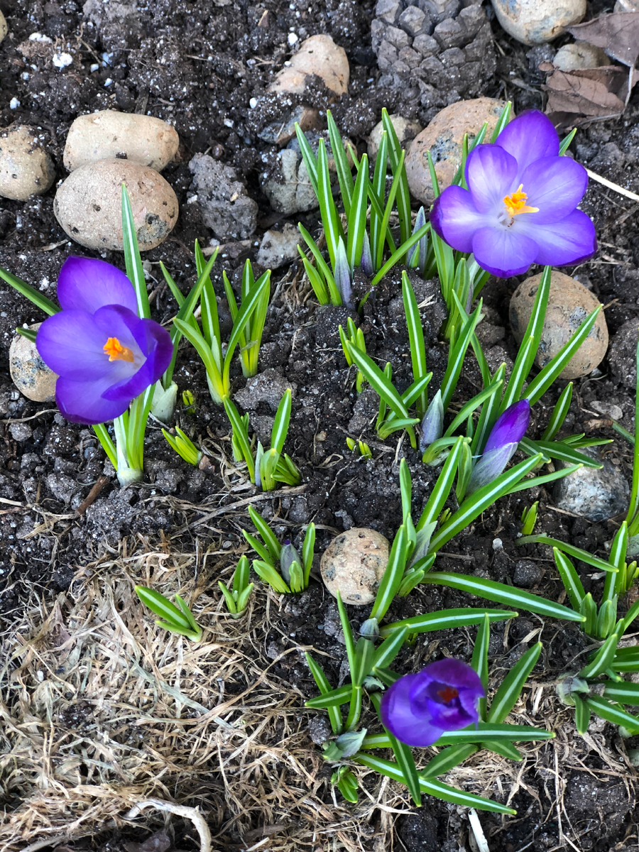 Листайте вправо