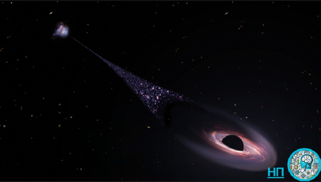 Иллюстрация черной дыры, удаляющейся от своей галактики, за которой следует след из звезд.