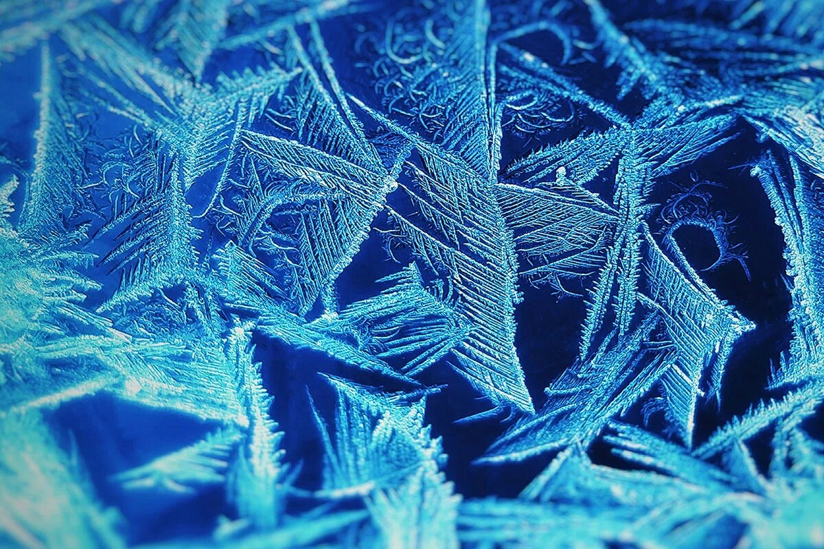    Фото: Martin LONGIN / Unsplash.com