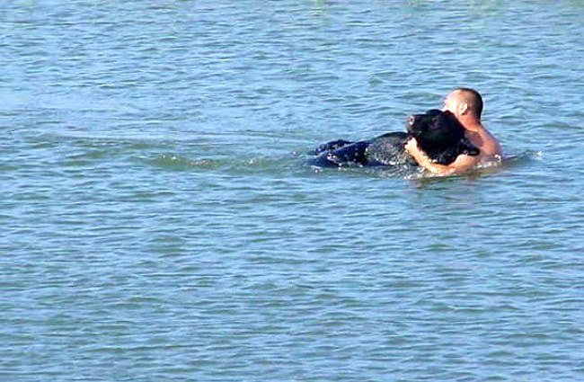 Мужчина вытащил медведя из воды