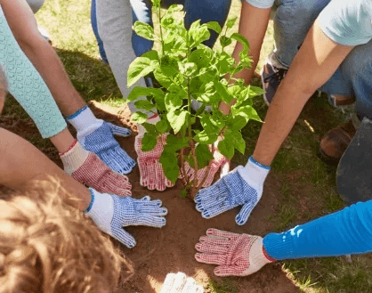 Источник: https://nia.eco/2025/02/10/97816/