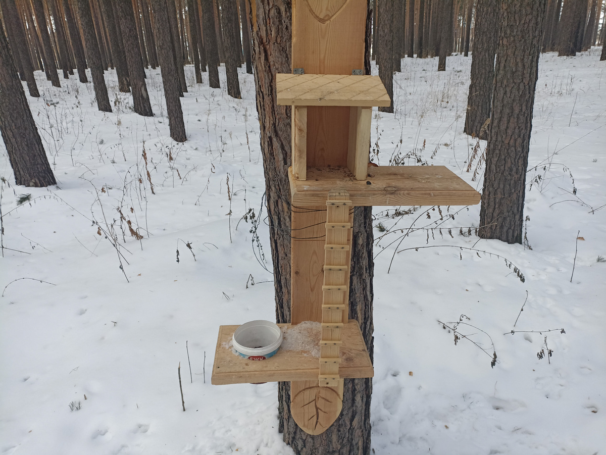 Такие замечательные домики для белок