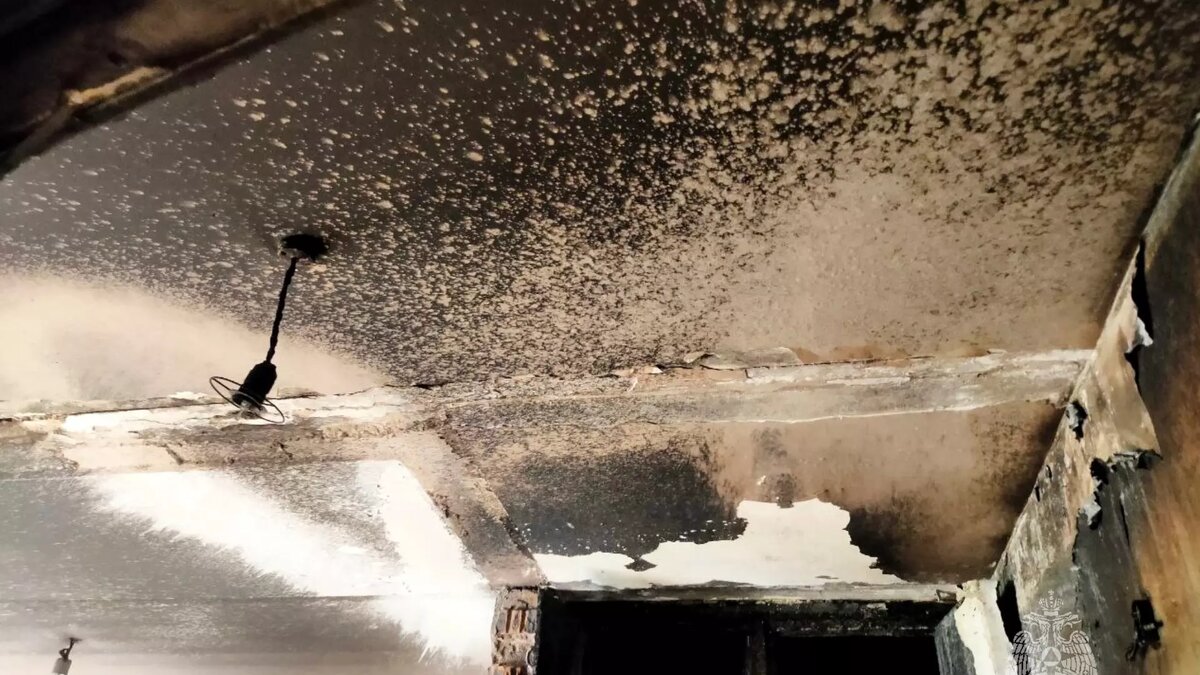     Автор: 60.mchs.gov.ru Источник: иллюстрация