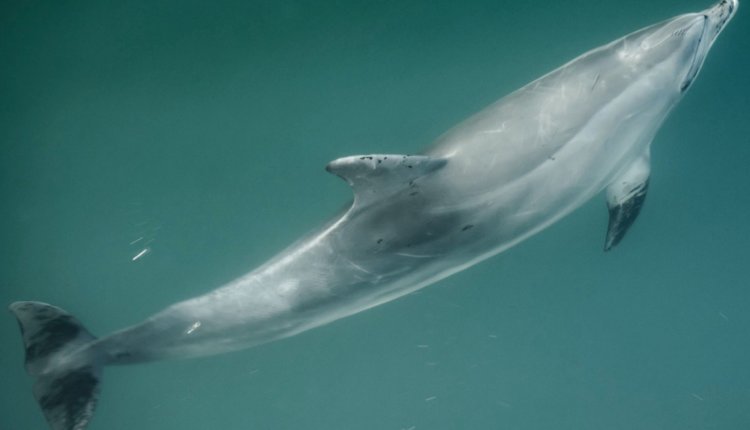 Источник: https://nia.eco/2025/02/10/97784/