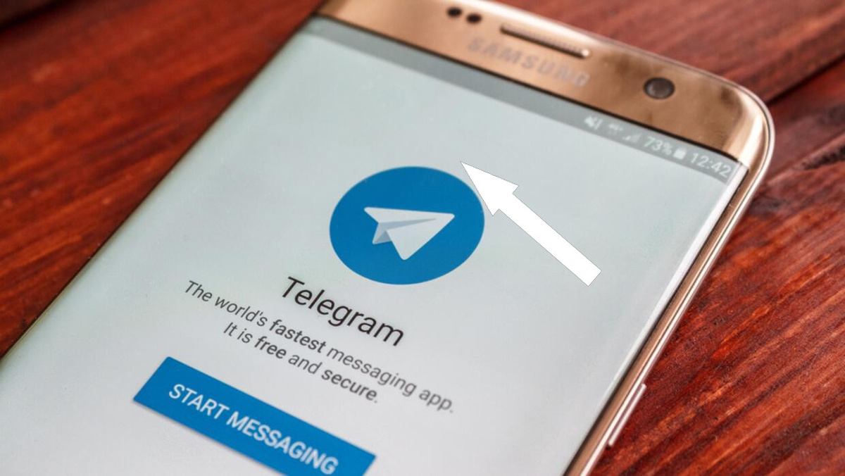    Английский в кармане: топ Telegram-ботов для изучения языка
