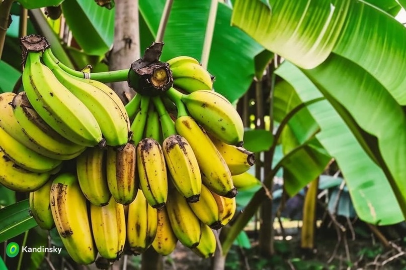 создано нейросетью