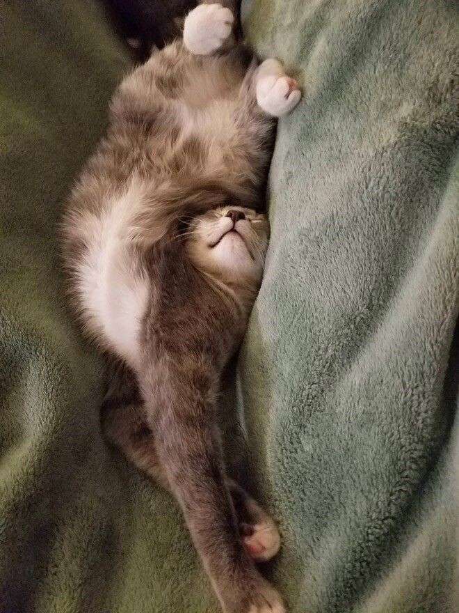 Источник: Яндекс.