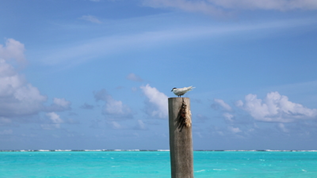    Maksim Konstantinov/Globallookpress