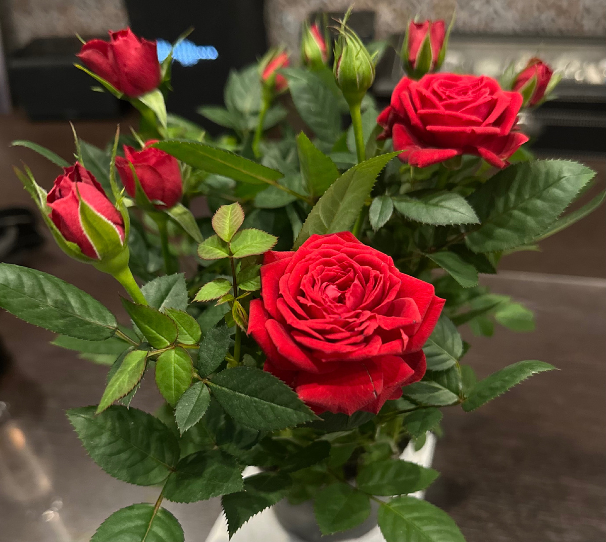 Праздник и у меня!