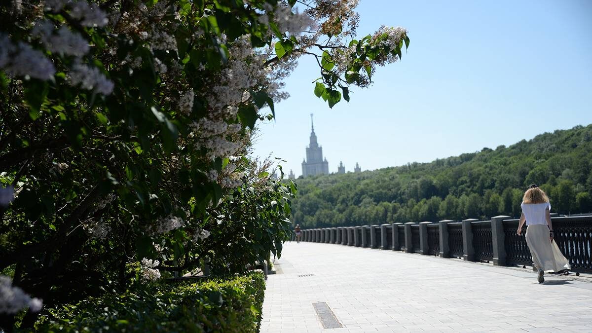    Фото: Пелагия Замятина / Вечерняя Москва