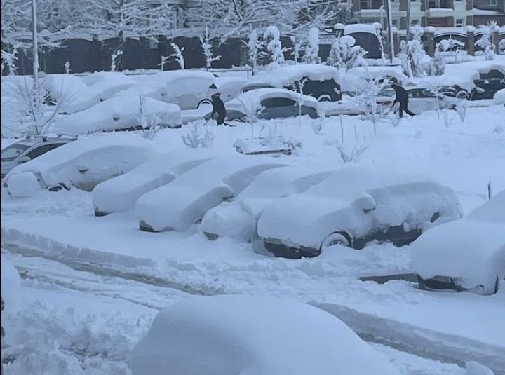 Фото: Южанка о Краснодарском крае, недвижимости и отдыхе