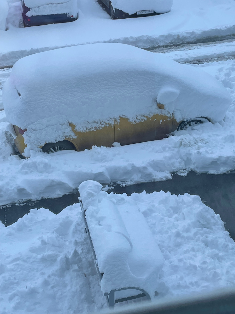 Фото: Южанка о Краснодарском крае, недвижимости и отдыхе