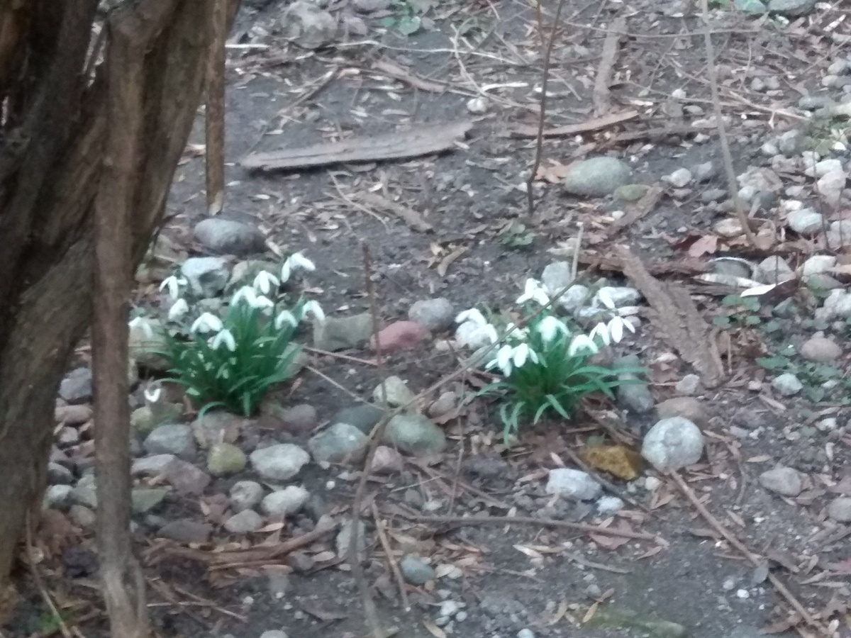 Февраль 2025г.