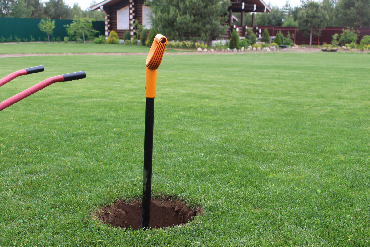 место выбрано, посадочная яма выкопана, газон не пострадал