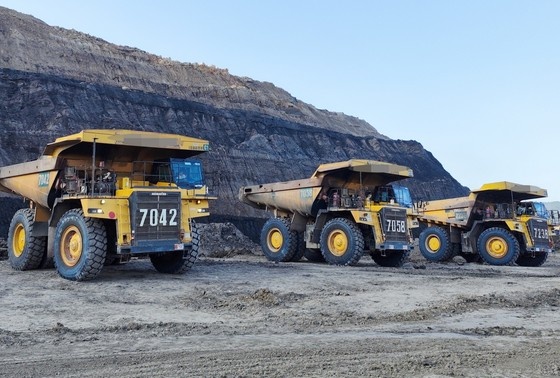    Shutterstock/FOTODOM