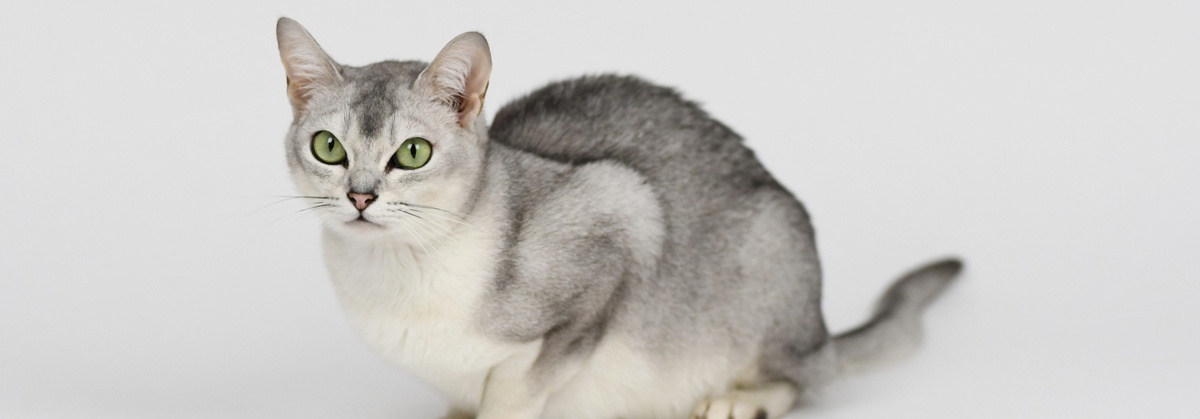 Источник: Яндекс.