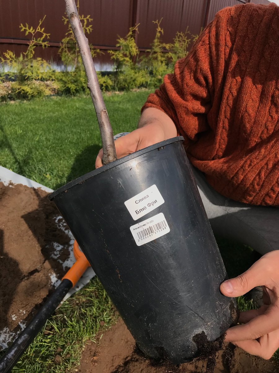 27 мая 2022 года