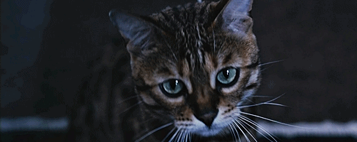 для любви всегда уготовано испытание